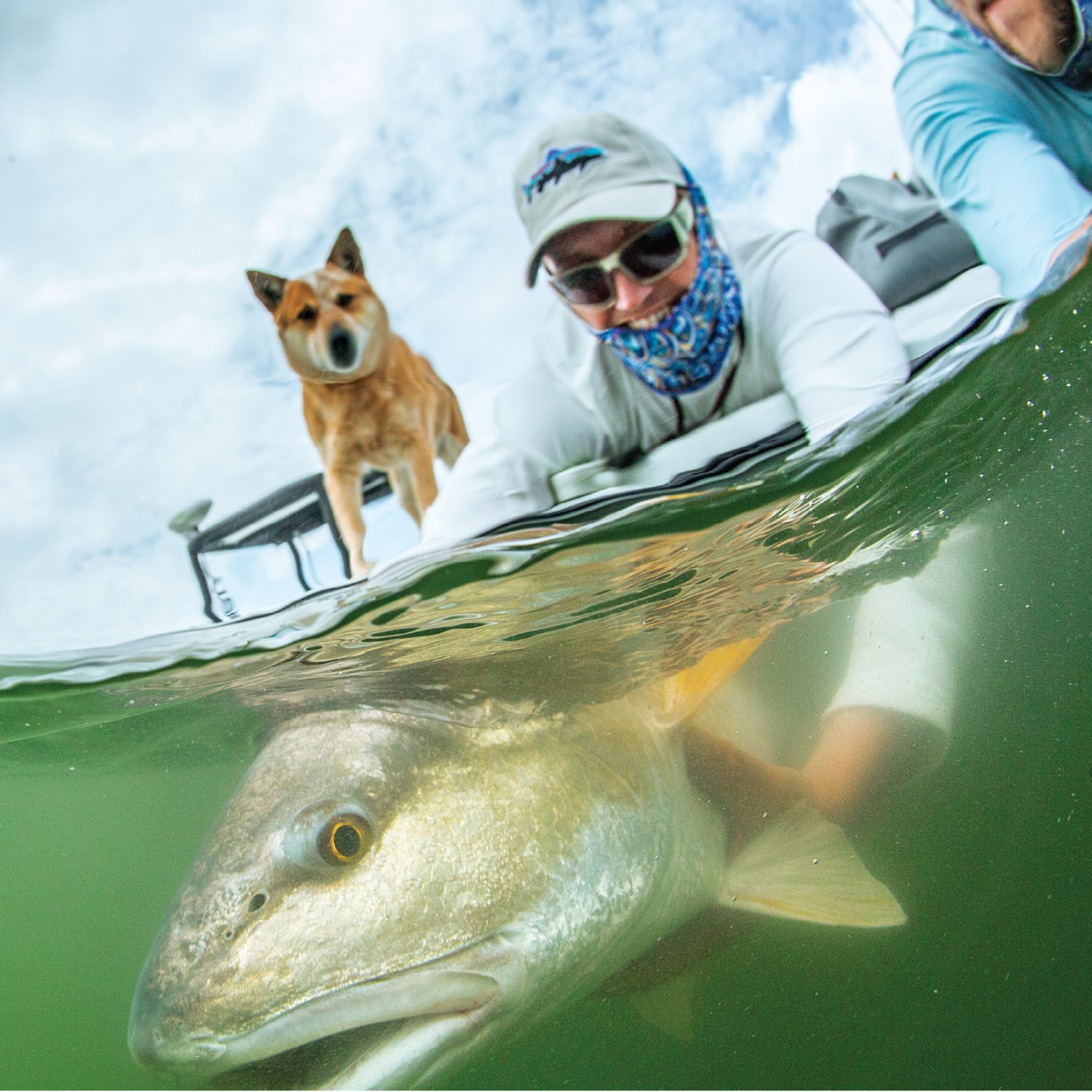 7 Great Disc Golf Courses Near Asheville Diamond Brand Outdoors