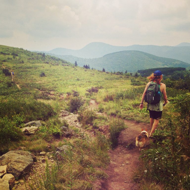 7 Great Disc Golf Courses Near Asheville Diamond Brand Outdoors