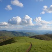 Image for Max Patch