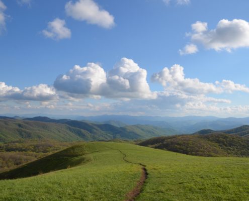 Image for Max Patch