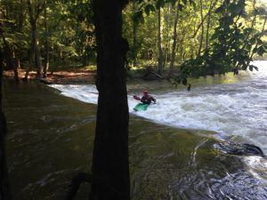 Kayak Fishing - Paddle Versus Pedal 